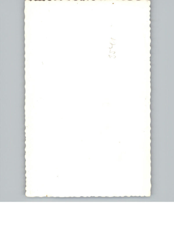 Rattlar – Bild 2