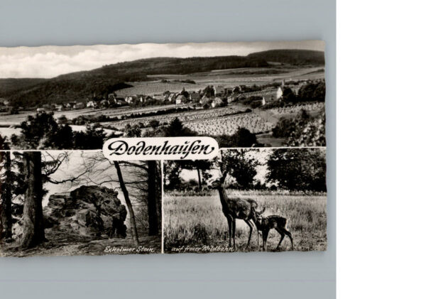 Dodenhausen