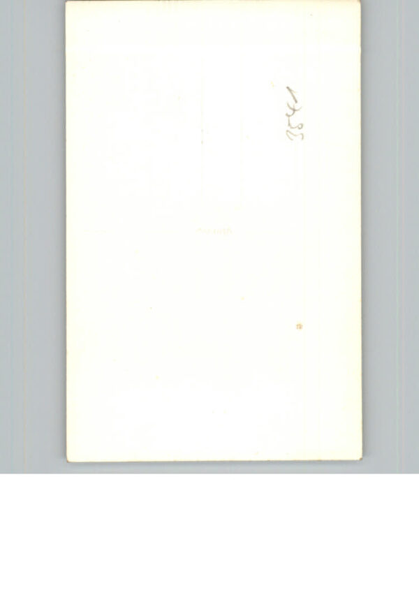 Rattlar – Bild 2