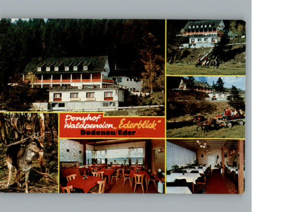 Battenberg Eder Ponyhof-Waldpension Ederblick