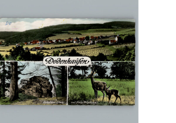 Dodenhausen Fliegeraufnahme