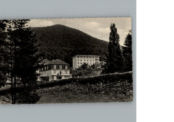 Bad  Wildungen