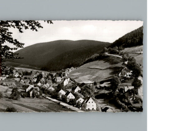 Schwalefeld