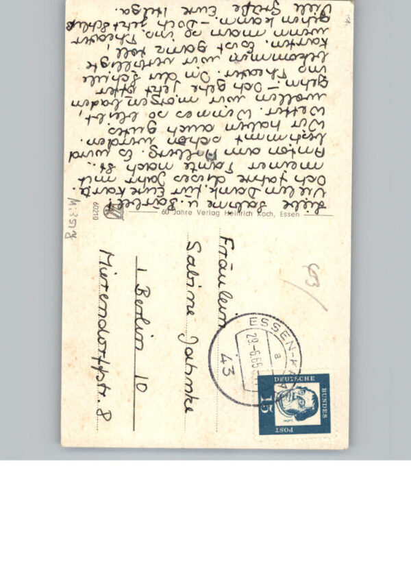 Steele Mehrfachansicht – Bild 2