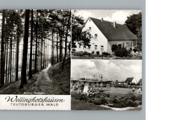 Wellingholzhausen Pension Beutlingshof Freibad