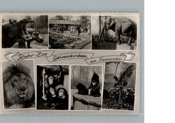 Gelsenkirchen Ruhr-Zoo