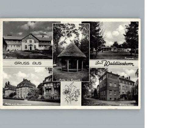 Bad  Waldliesborn