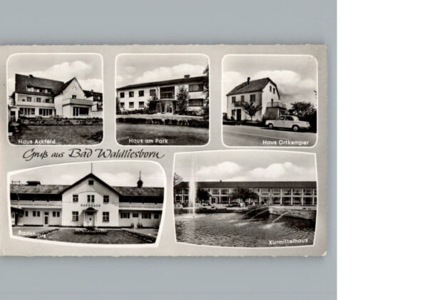 Bad  Waldliesborn