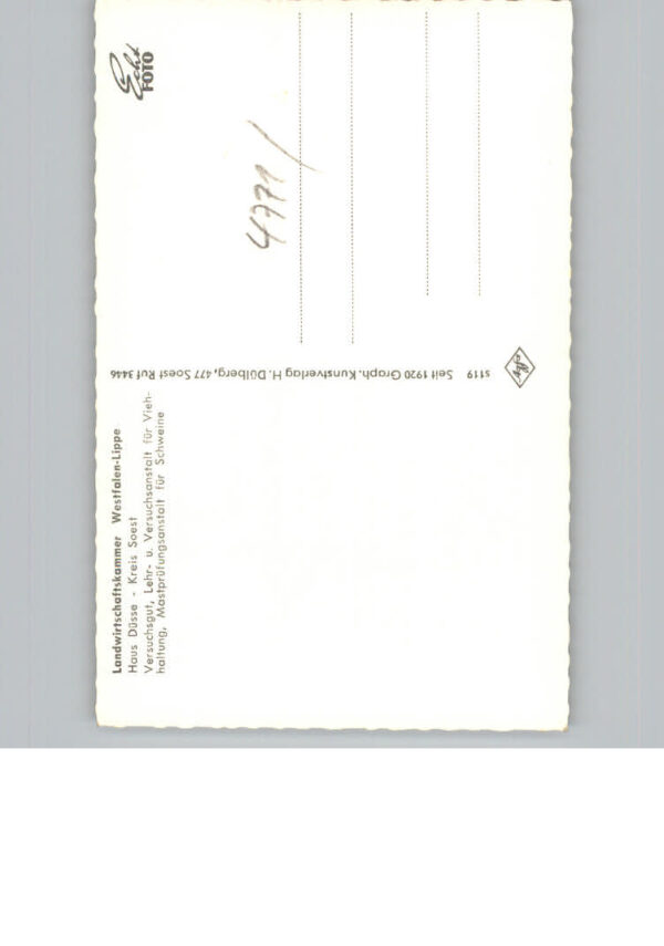 Ostinghausen Haus Duesse – Bild 2