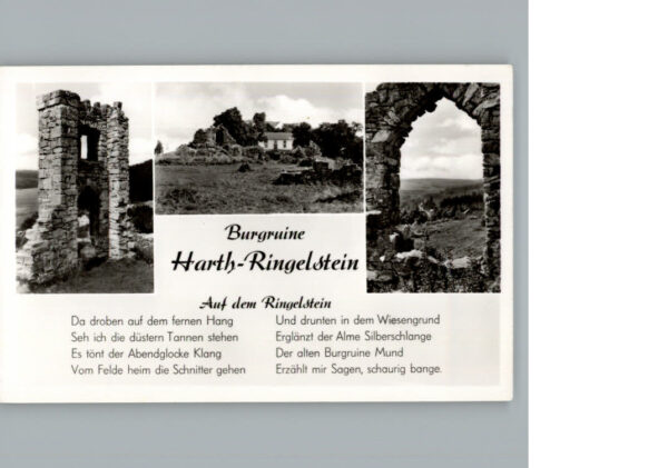 Harth Bueren Burgruine