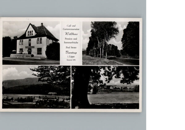 Barntrup Waldhaus