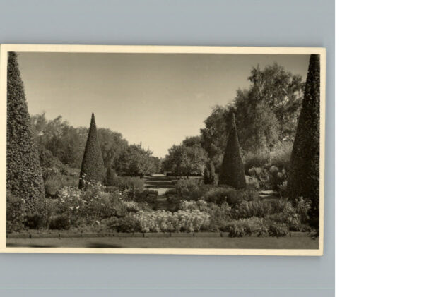 Bad  Meinberg Garten