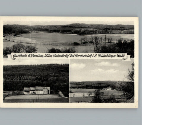 Belle Detmold Luftbild