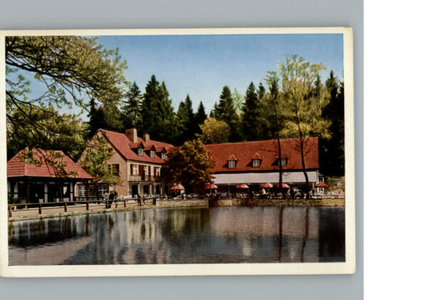 Leopoldstal Lippe Waldhotel Silbermuehle