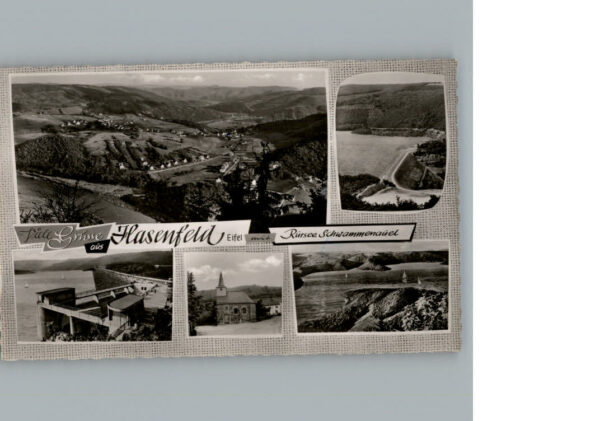 Hasenfeld