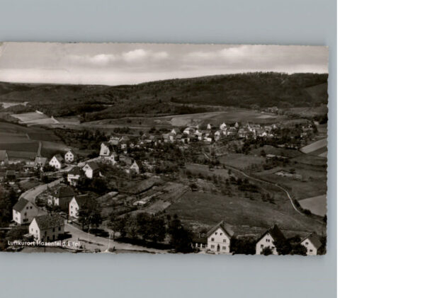 Hasenfeld