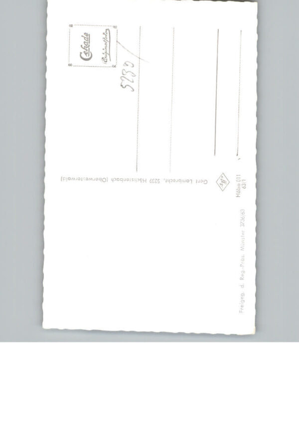 Hoechstenbach Fliegeraufnahme – Bild 2