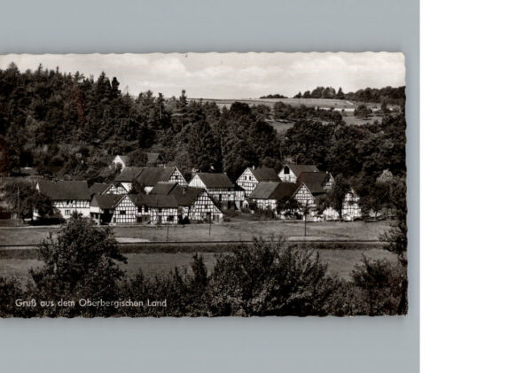 Waldbroel