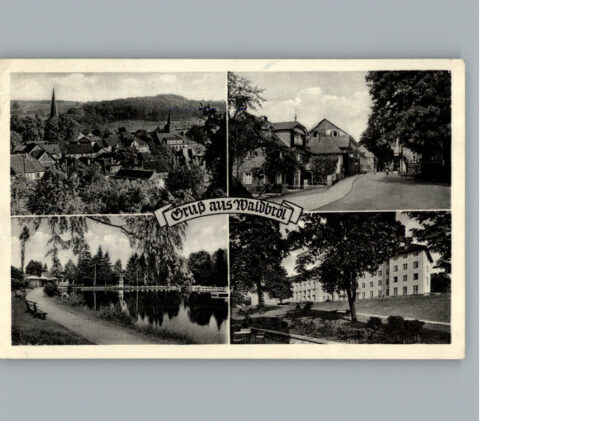 Waldbroel