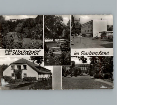 Waldbroel