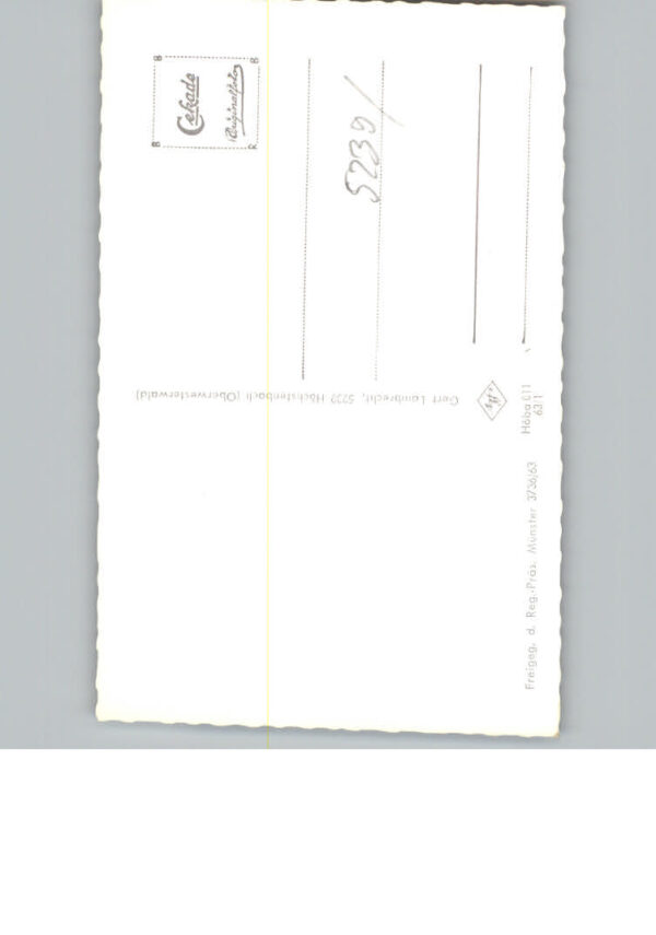 Hoechstenbach Fliegeraufnahme – Bild 2