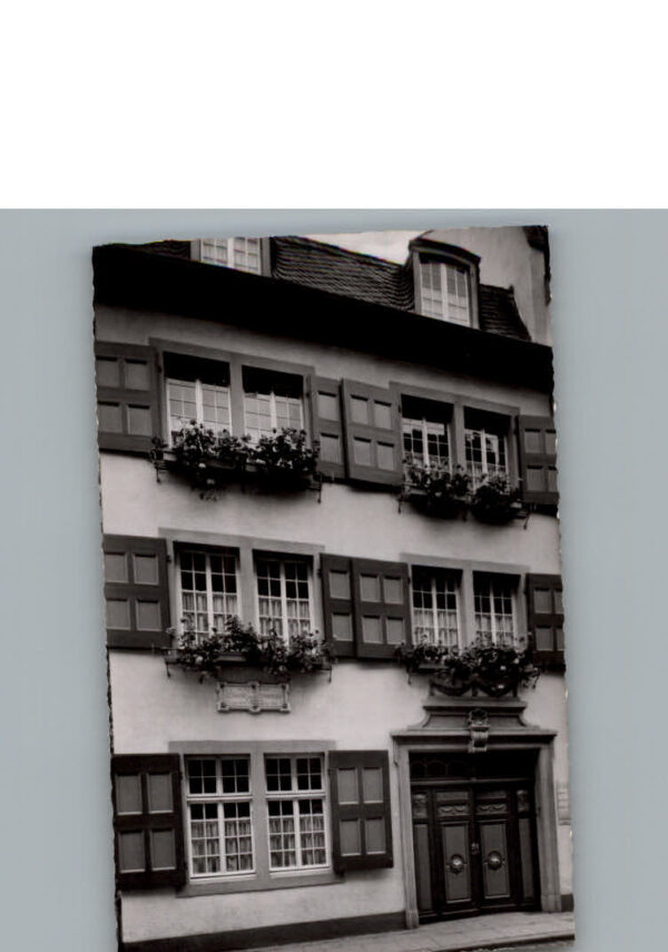 Bonn Rhein