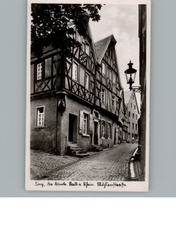 Linz Rhein