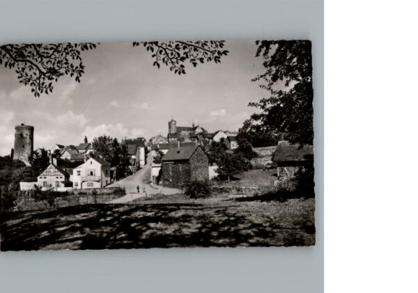 Muenstermaifeld