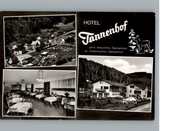 Dies Hotel Tannenhof