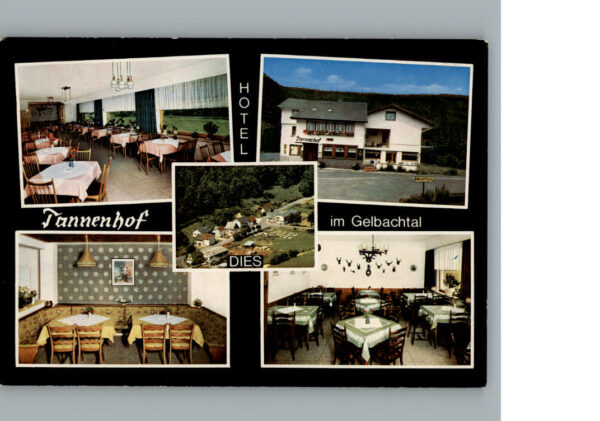 Dies Hotel Tannenhof