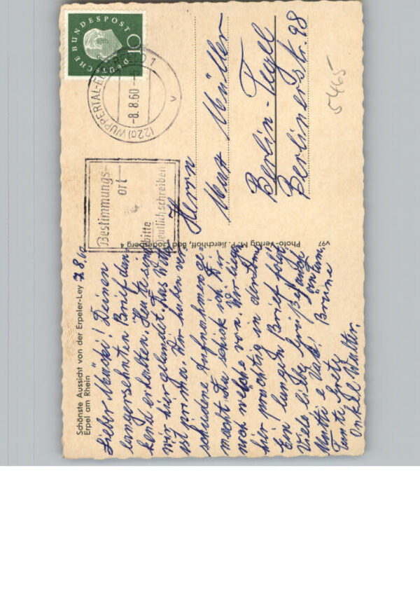 Erpel Rhein – Bild 2