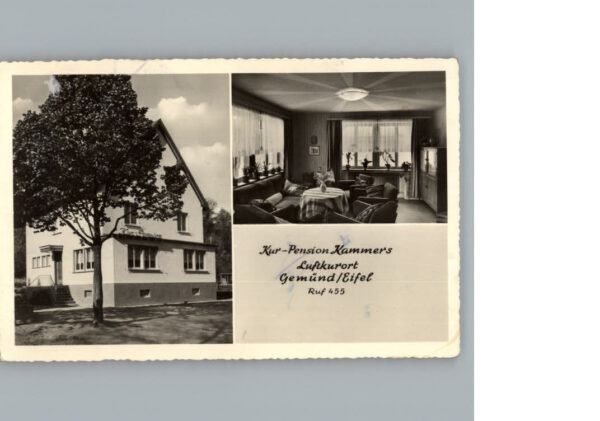 Gemuend Eifel Kur-Pension Kammers