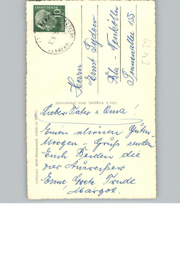Rehe – Bild 2