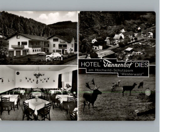 Dies Hotel Tannenhof