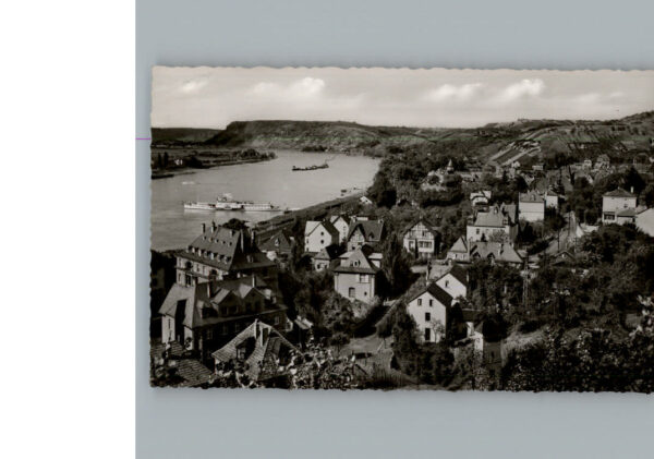 Linz Rhein