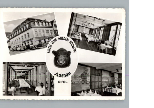 Adenau Ahrweiler Rheinland-Pfalz Hotel Restaurant, Cafe  Zum wilden Schwein