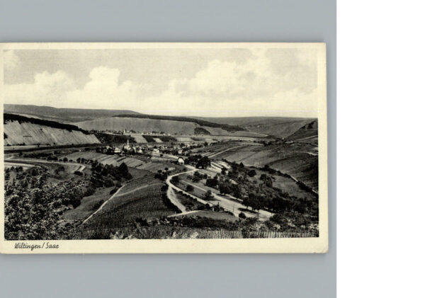 Wiltingen