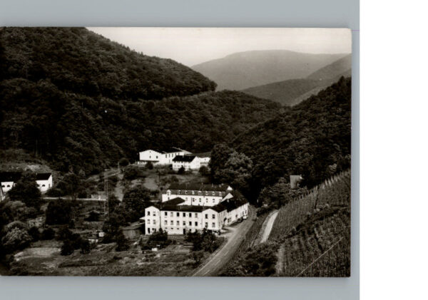 Alf Mosel