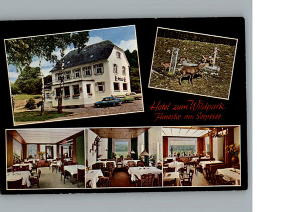 Amecke Hotel Zum Wildpark