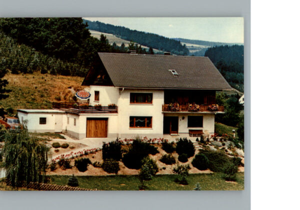 Zueschen Sauerland Pension Haus Tannenhof
