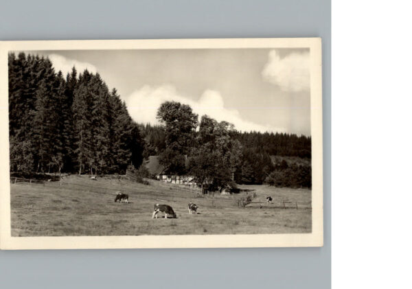 Altenbueren Gasthof Cafe Zum Muehlengrund