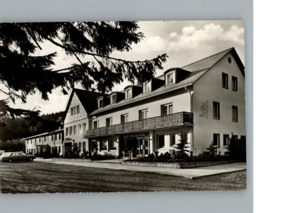 Rinsecke Waldhausrestautant Hotel Hirschfreigeghege Rothaargebirge