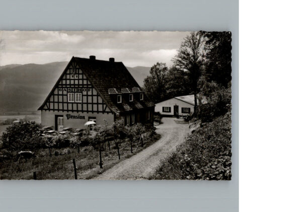 Roenkhausen Gasthof Haus Waldesruh