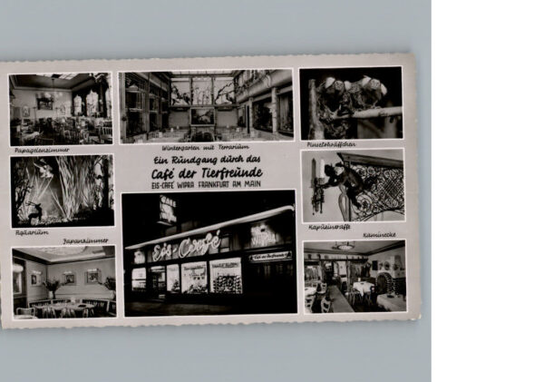 Frankfurt Main Cafe der Tierfreunde Eiscafe Wipra