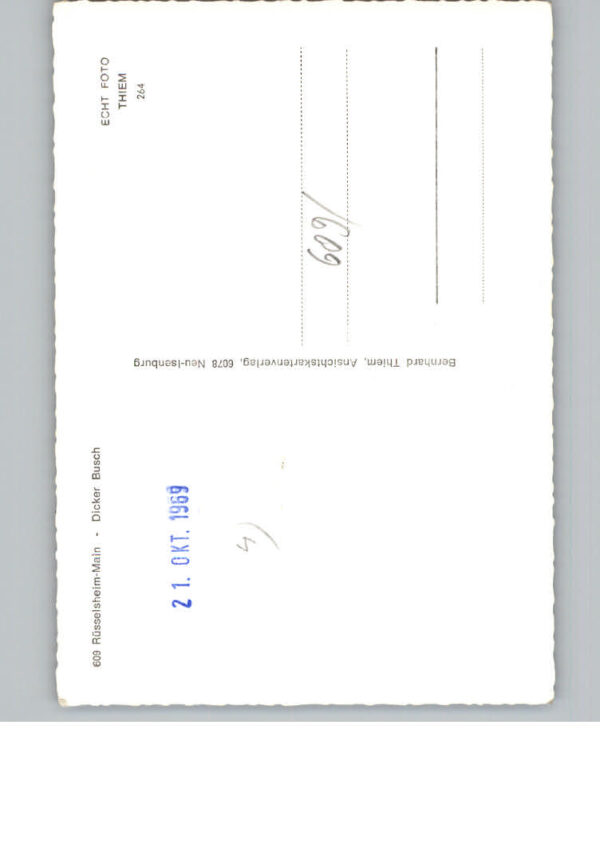 Ruesselsheim Main Dicker Busch – Bild 2