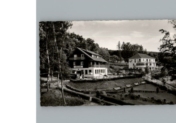 Bad Koenig Gasthaeuser Haus Birkenhoeh Waldfrieden