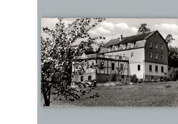 Michelstadt Gasthaus Pension Waldhorn