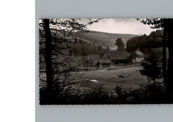 Zell Odenwald Heuselmuehle