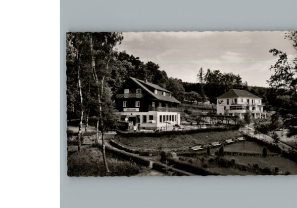 Bad Koenig Gasthaeuser Haus Birkenhoeh Waldfrieden