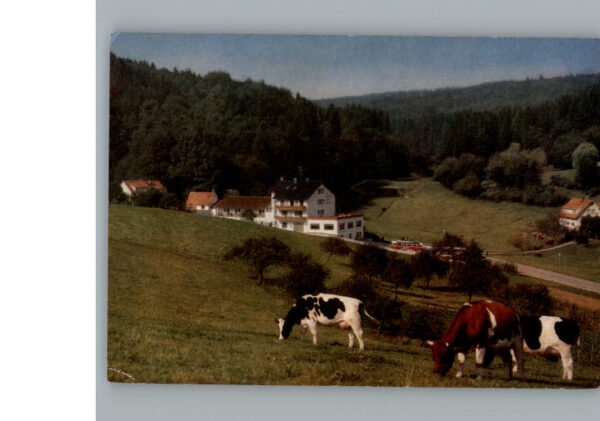 Grasellenbach Cafe Pension Gassbachtal
